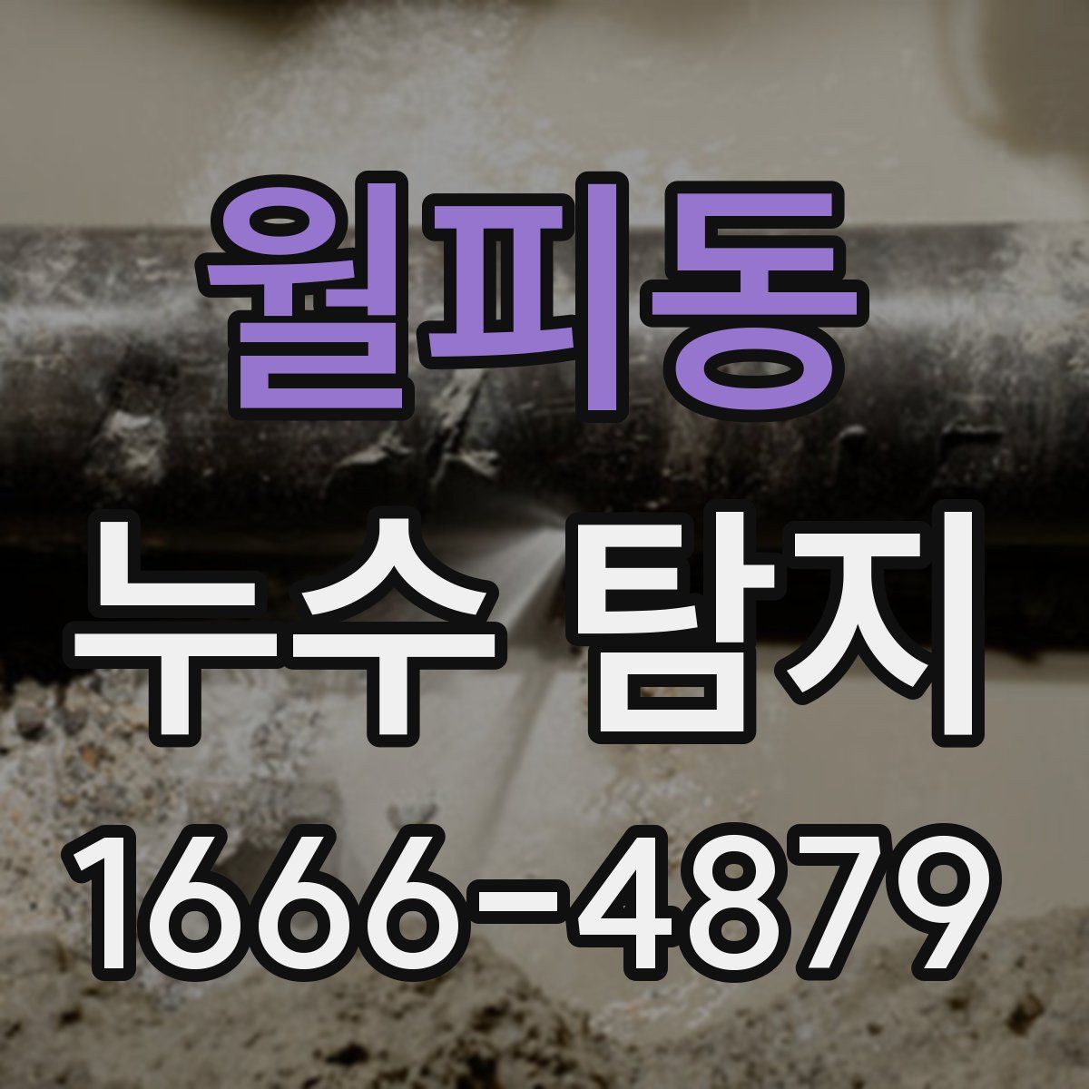 월피동 누수 탐지