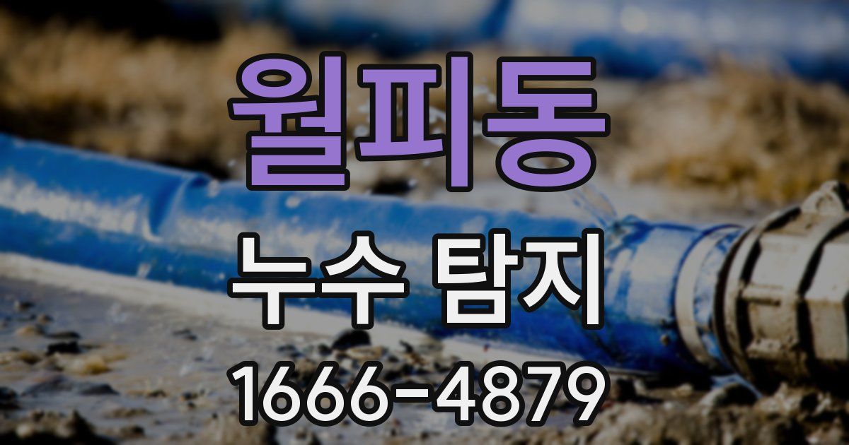 월피동 누수 탐지
