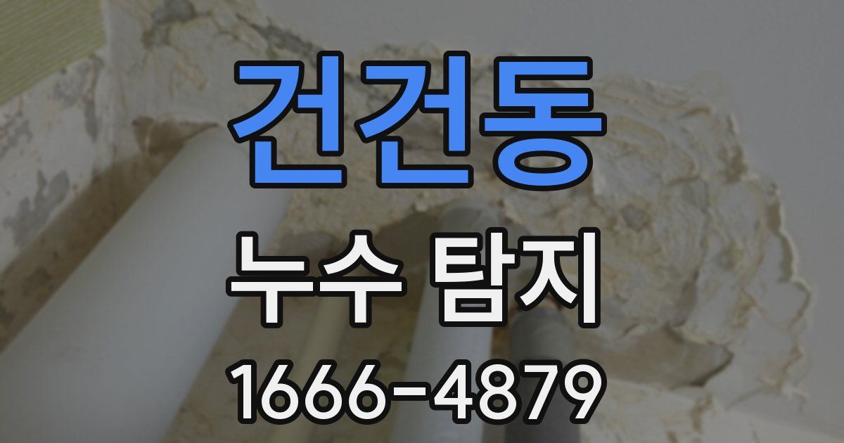 건건동 누수 탐지