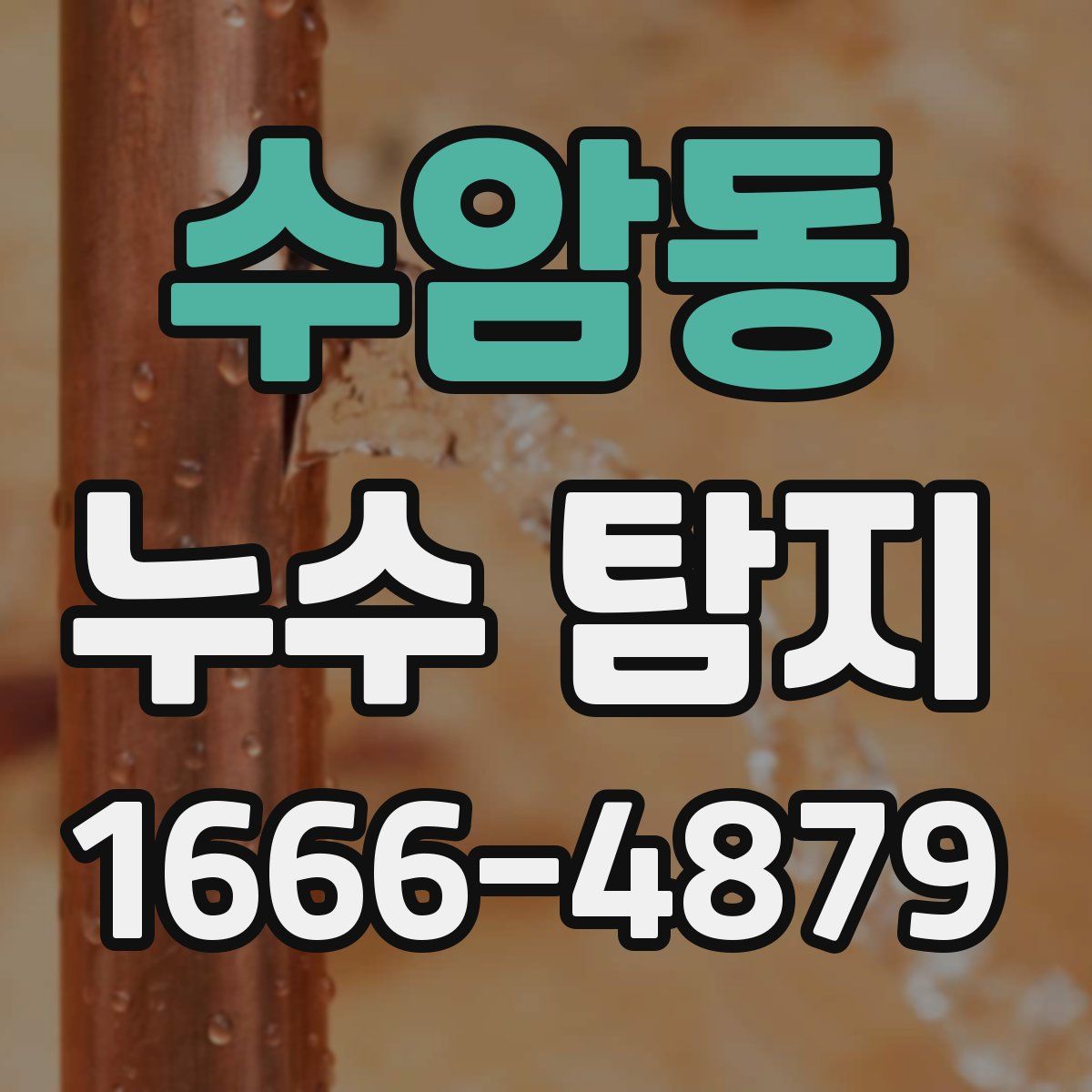 수암동 누수 탐지