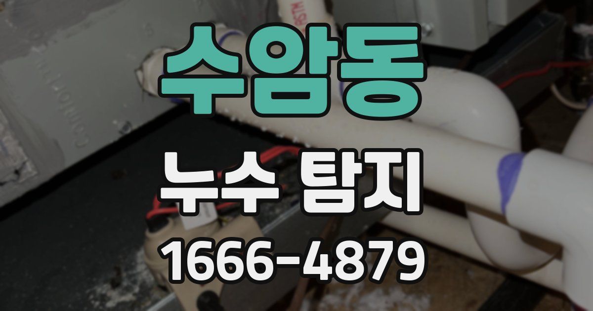 수암동 누수 탐지