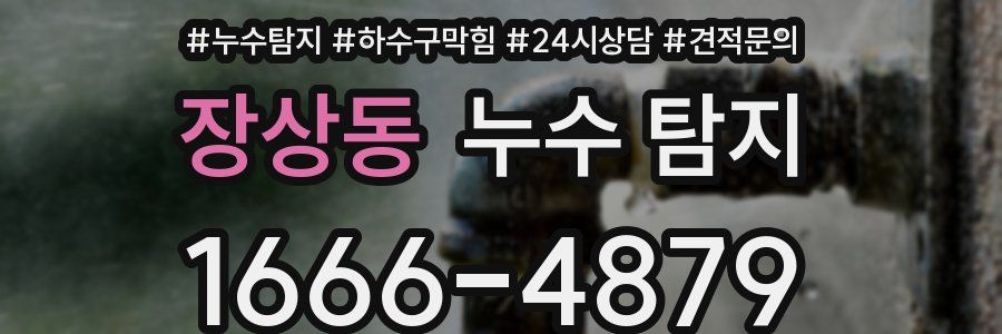 장상동 누수 탐지