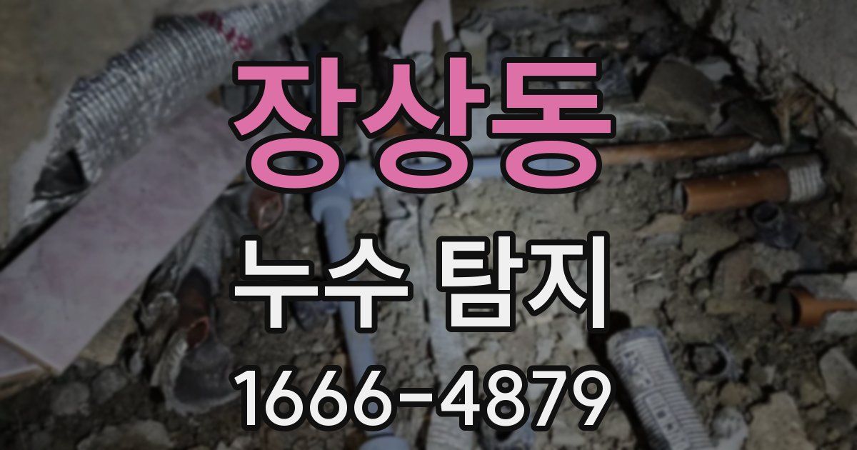 장상동 누수 탐지