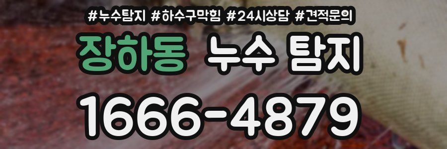 장하동 누수 탐지