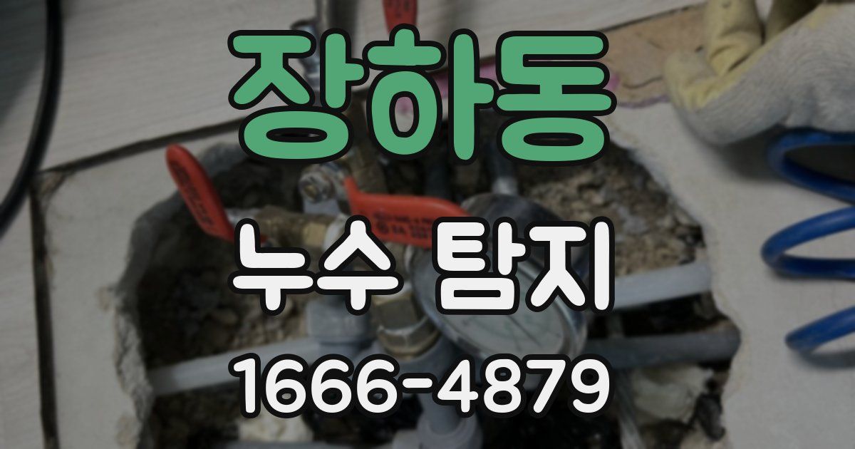 장하동 누수 탐지
