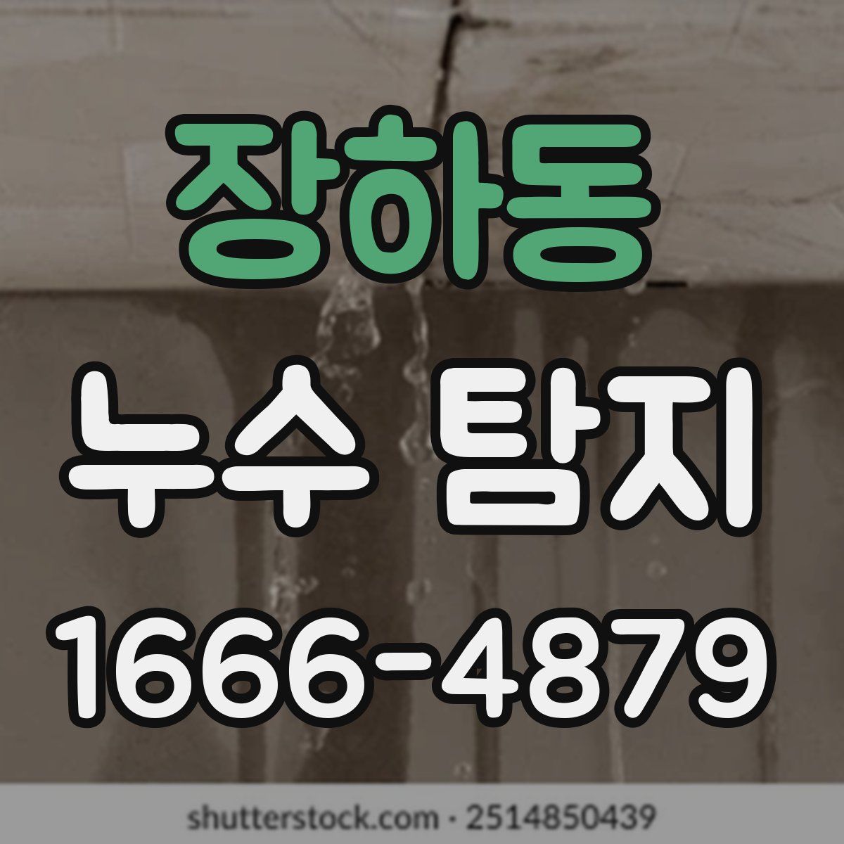 장하동 누수 탐지