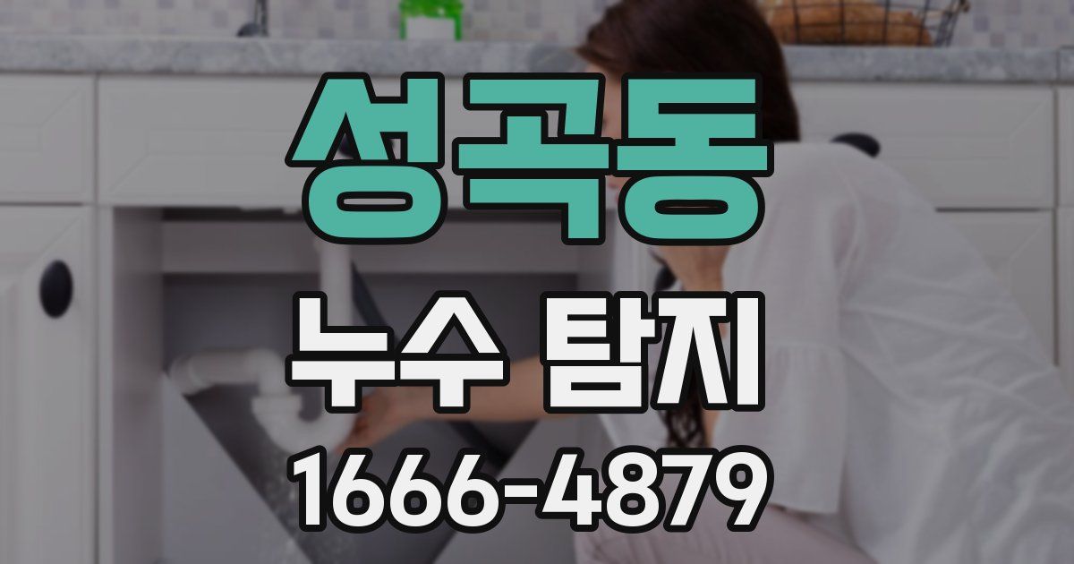 성곡동 누수 탐지