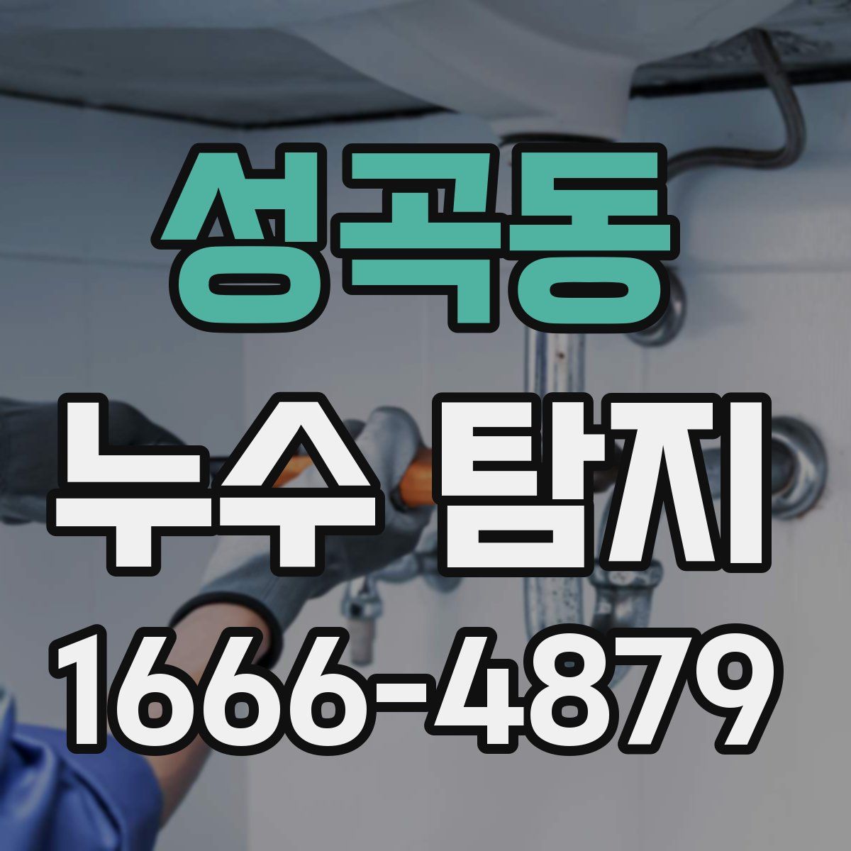 성곡동 누수 탐지