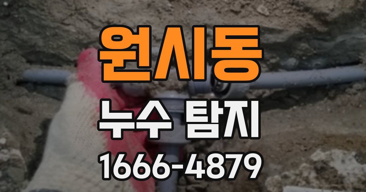 원시동 누수 탐지