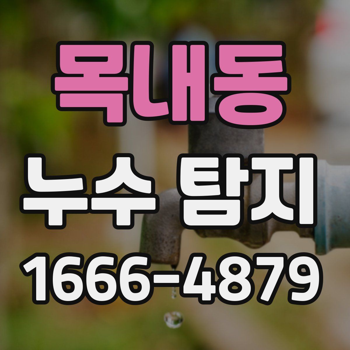 목내동 누수 탐지
