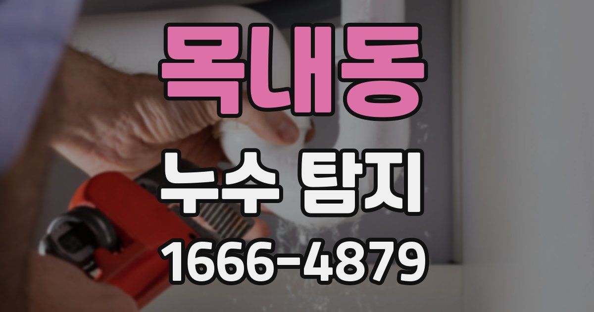 목내동 누수 탐지