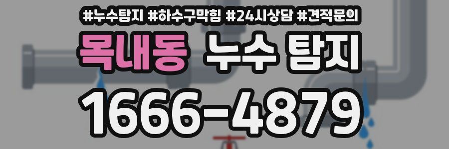 목내동 누수 탐지