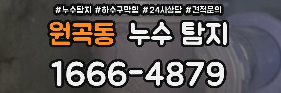 원곡동 누수 탐지