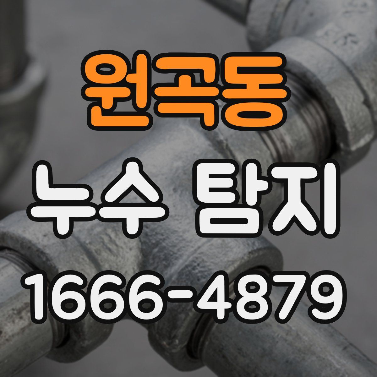 원곡동 누수 탐지