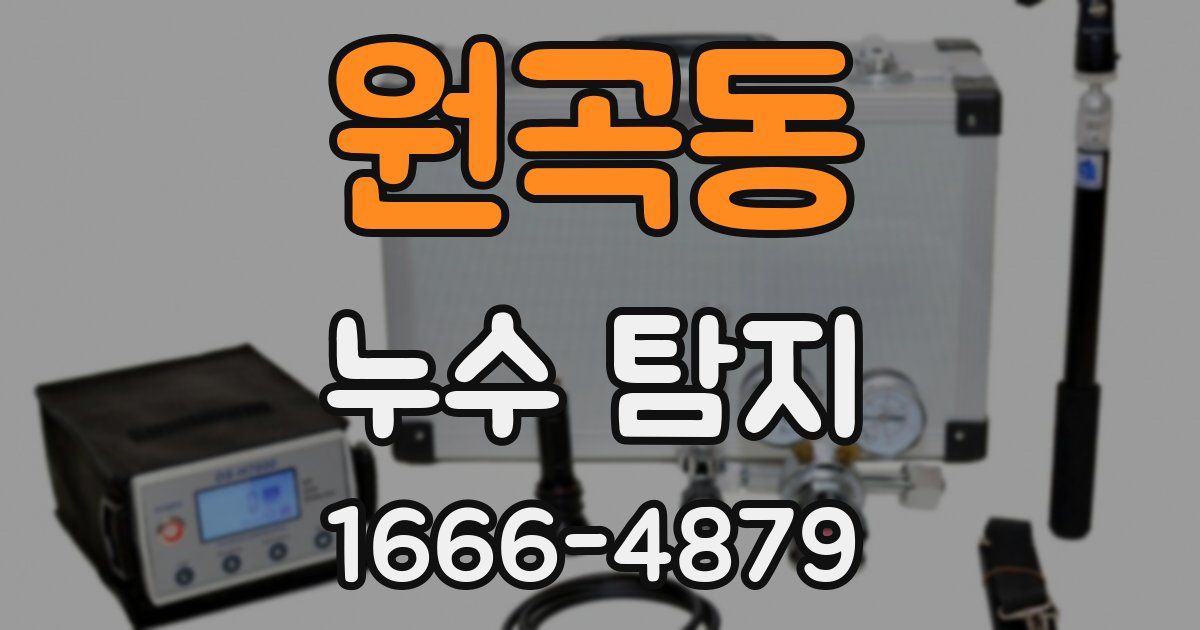 원곡동 누수 탐지