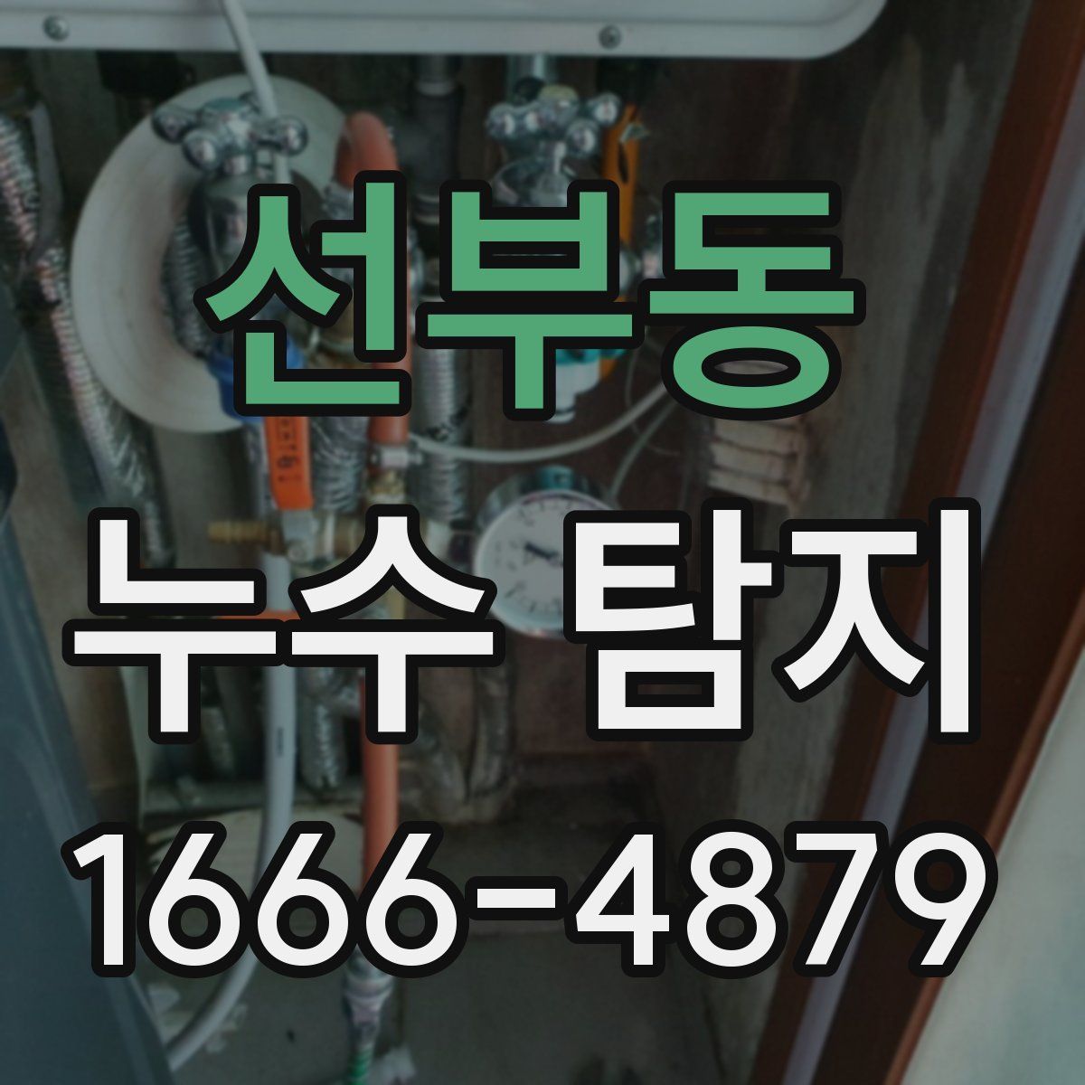 선부동 누수 탐지