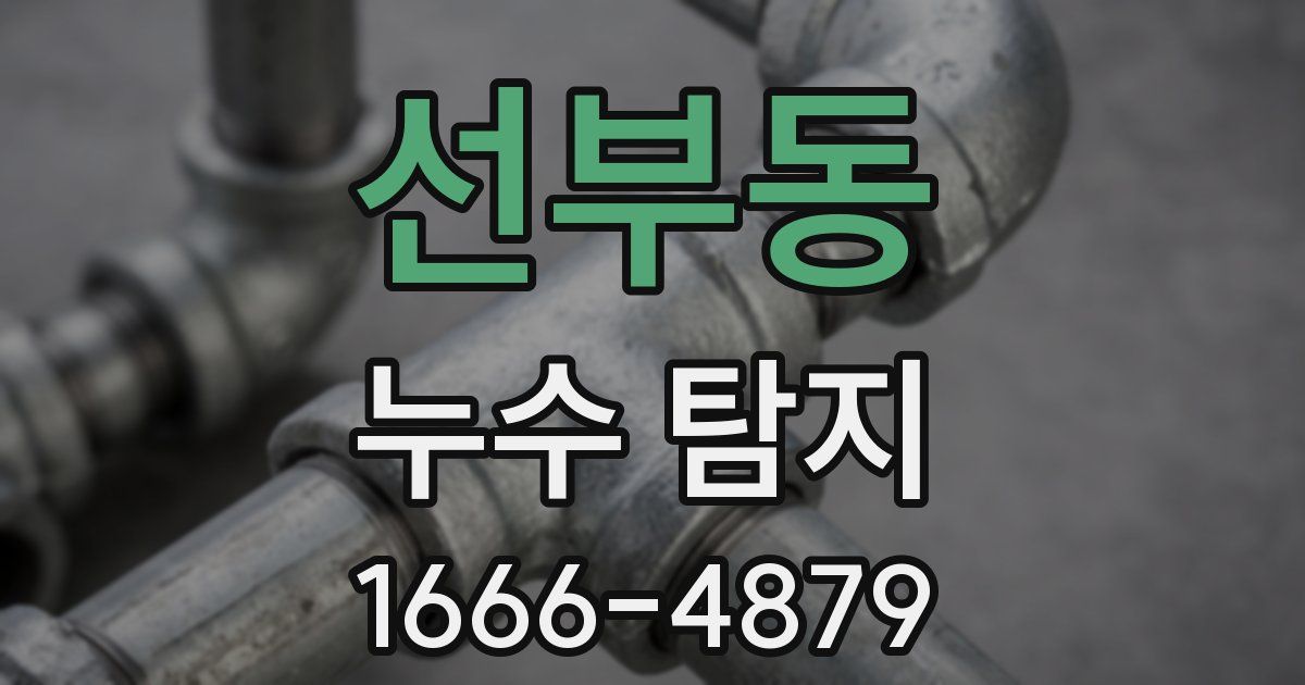 선부동 누수 탐지