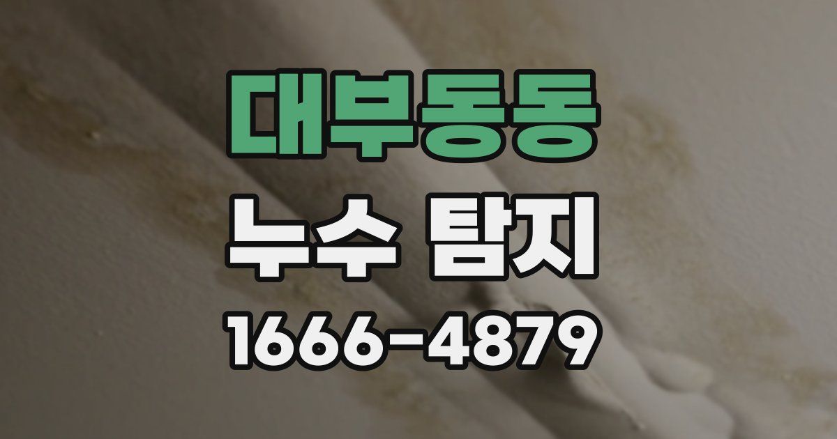 대부동동 누수 탐지