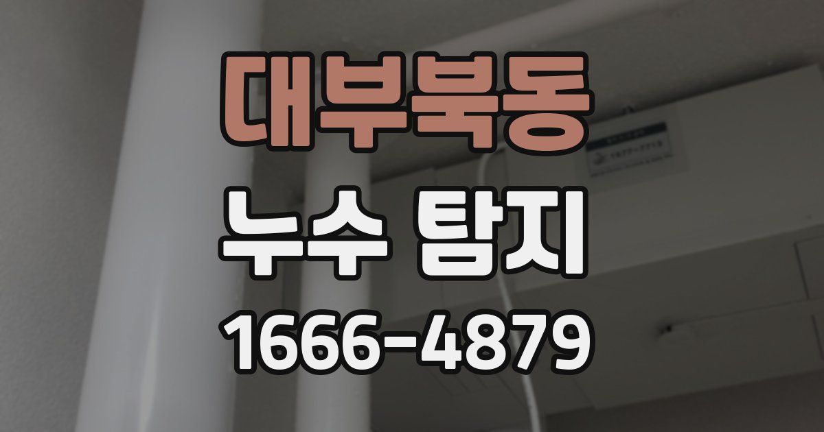 대부북동 누수 탐지