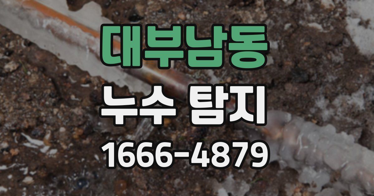대부남동 누수 탐지