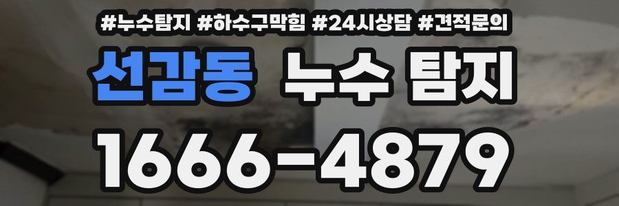 선감동 누수 탐지