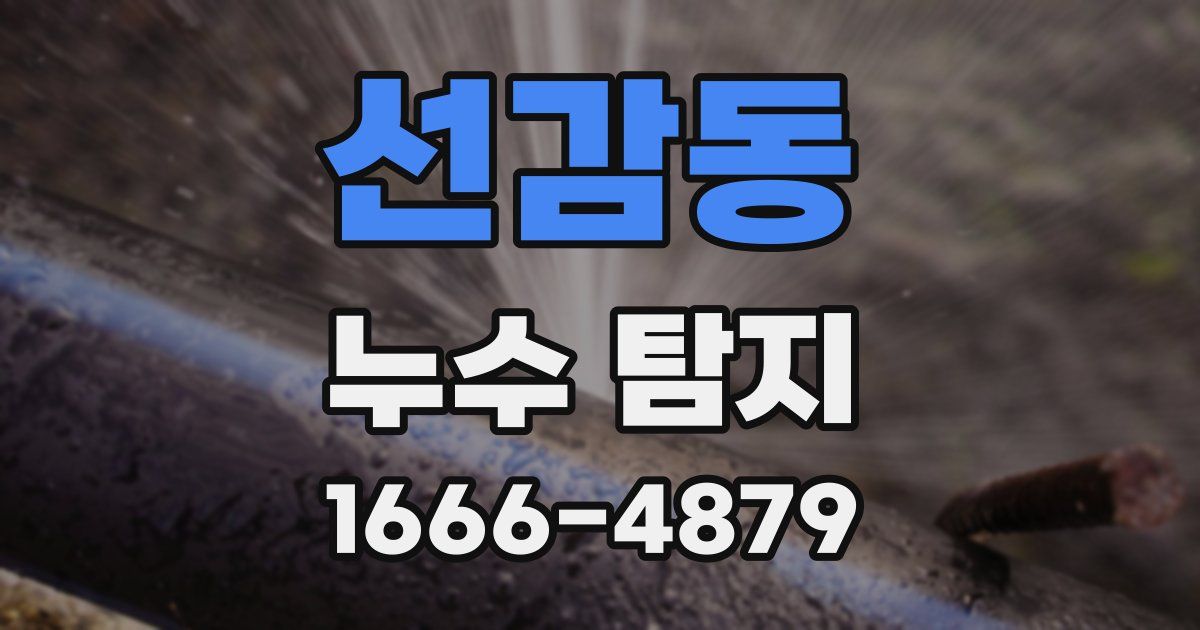 선감동 누수 탐지