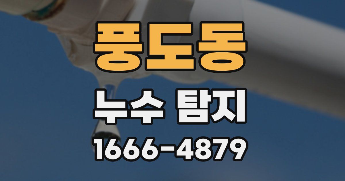 풍도동 누수 탐지