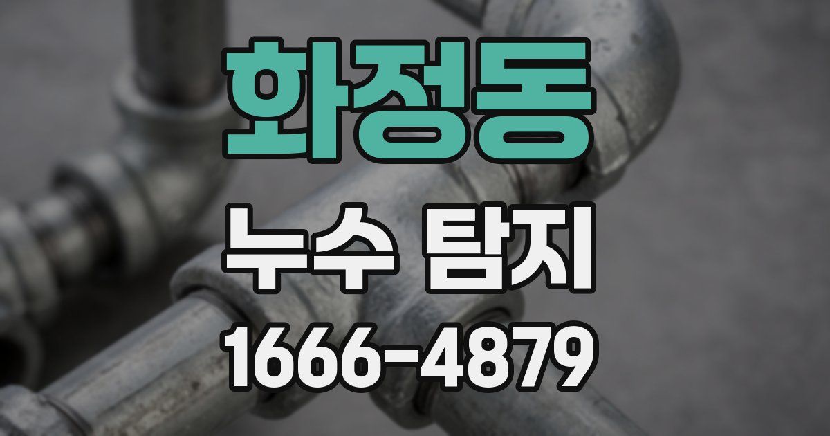 화정동 누수 탐지