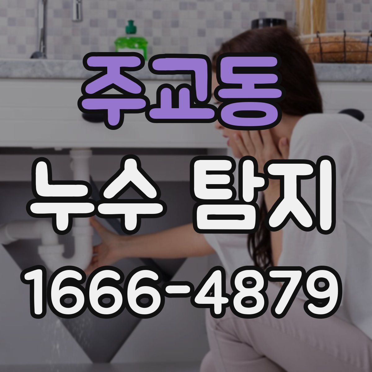 주교동 누수 탐지