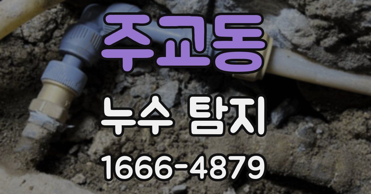 주교동 누수 탐지