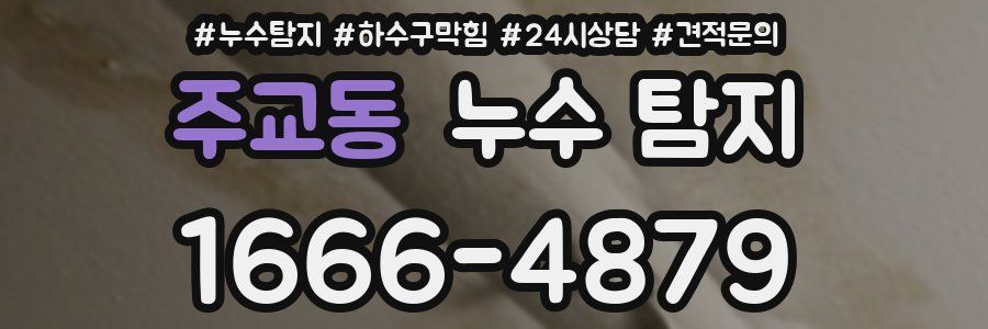 주교동 누수 탐지