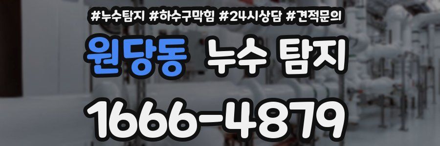 원당동 누수 탐지