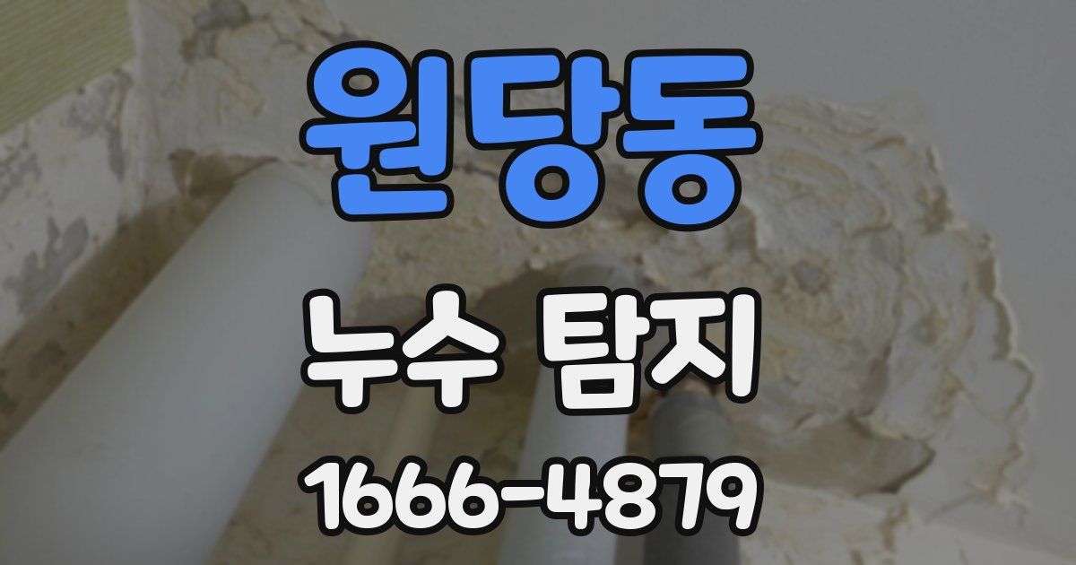 원당동 누수 탐지