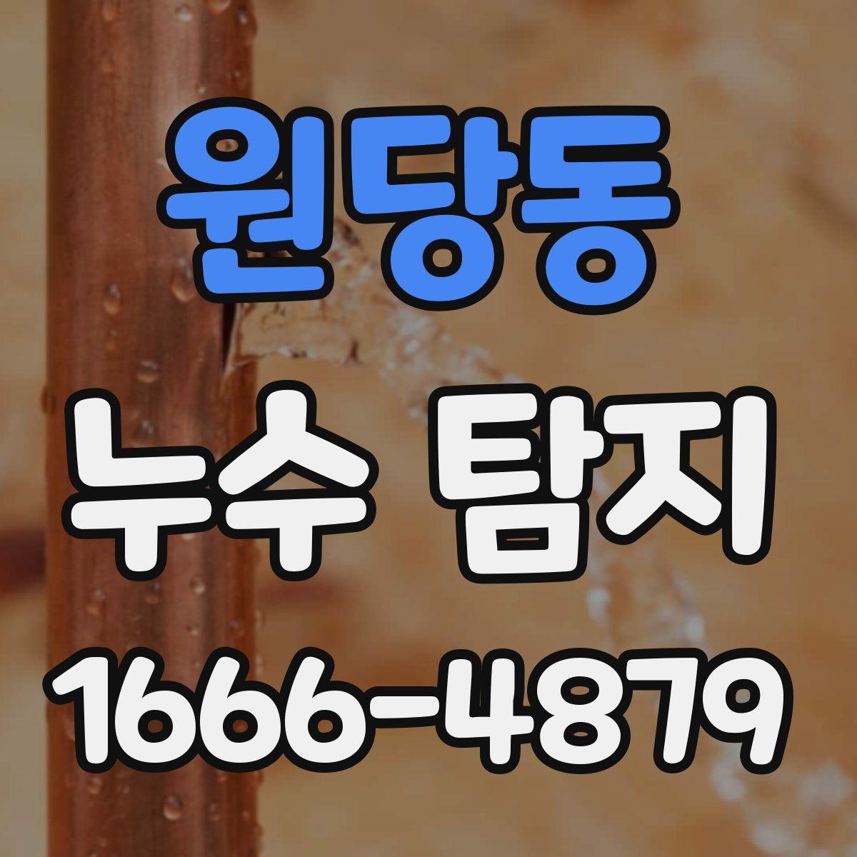 원당동 누수 탐지