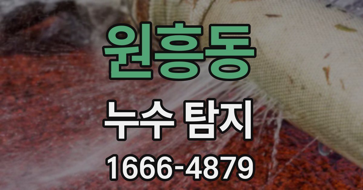 원흥동 누수 탐지