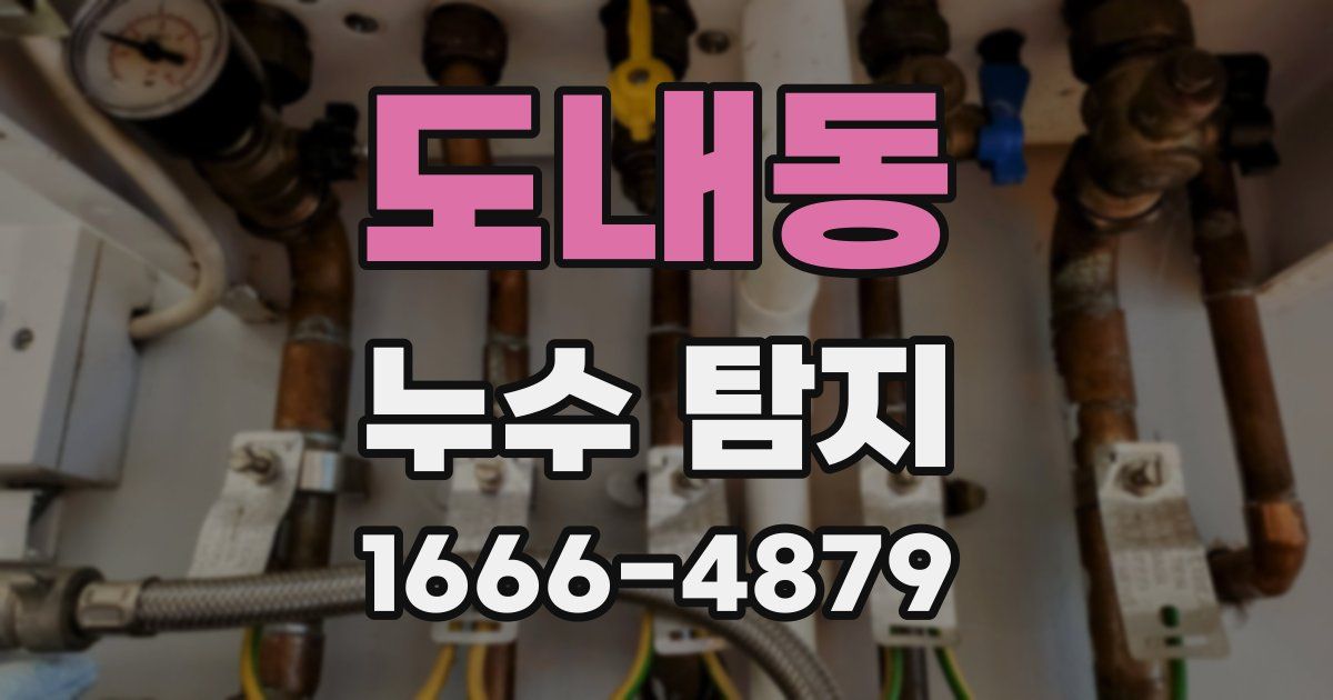 도내동 누수 탐지