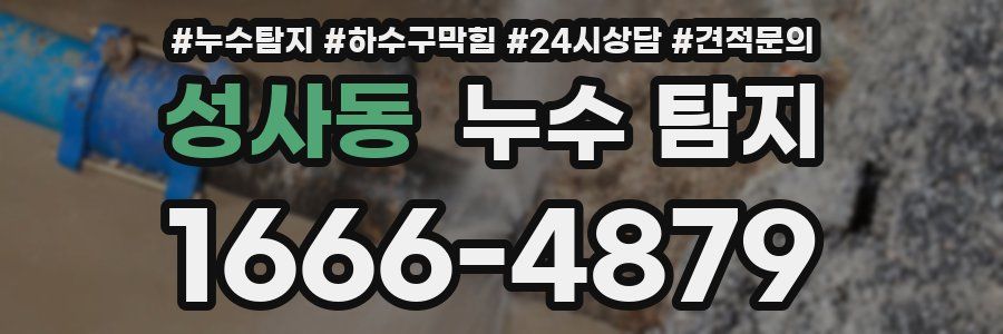 성사동 누수 탐지
