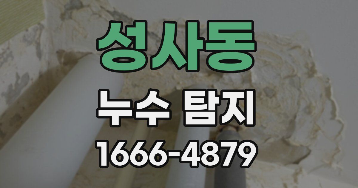 성사동 누수 탐지