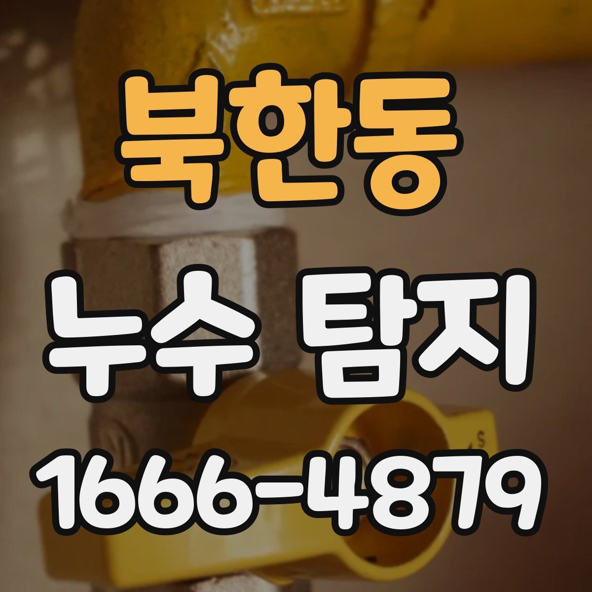 북한동 누수 탐지