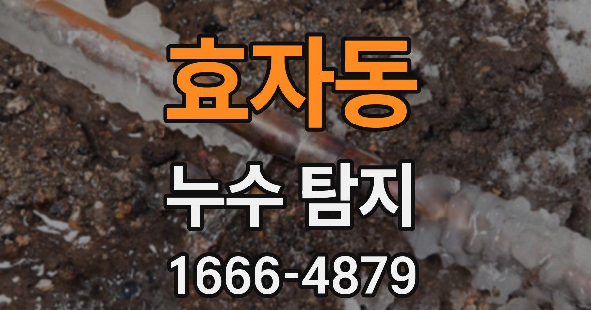효자동 누수 탐지