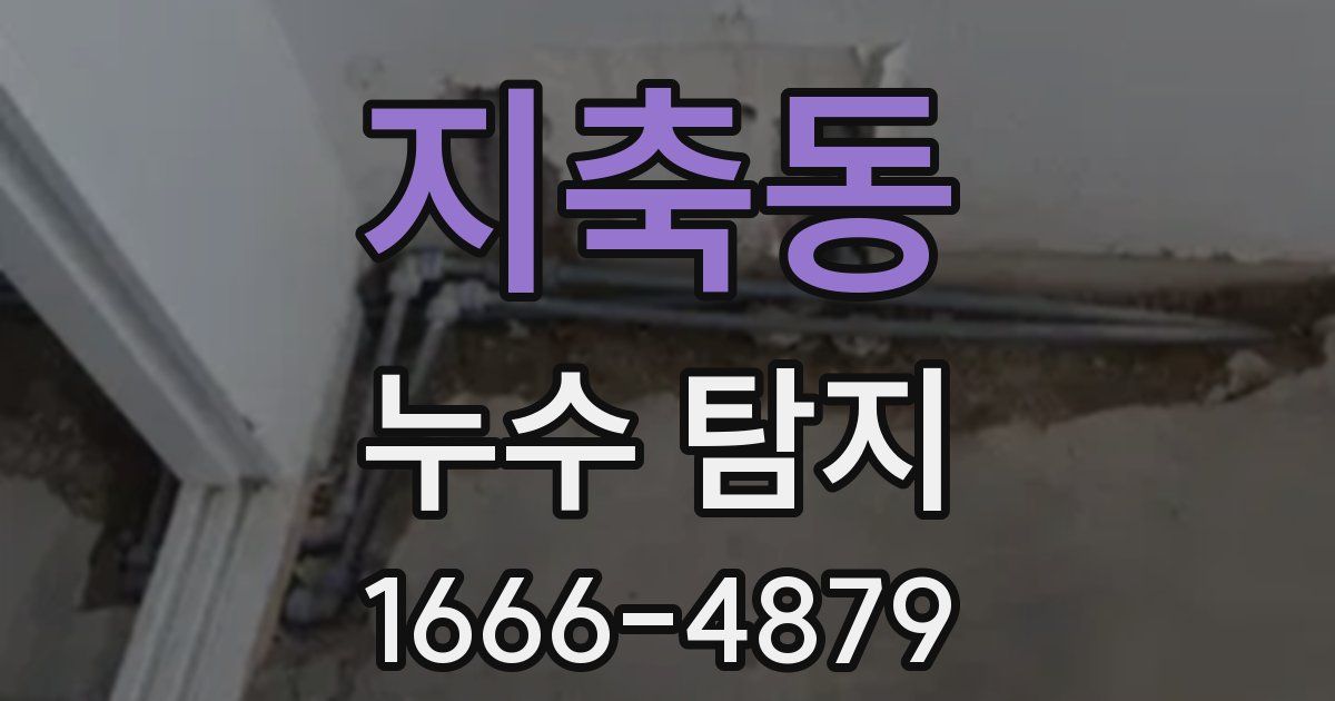 지축동 누수 탐지