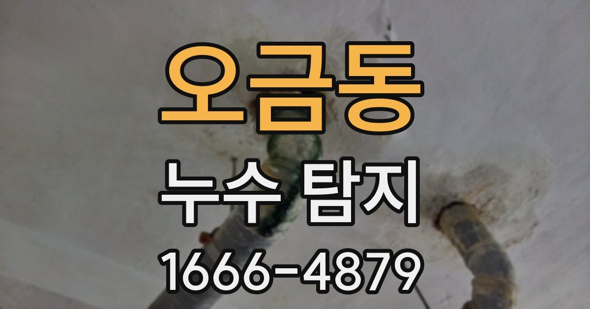 오금동 누수 탐지