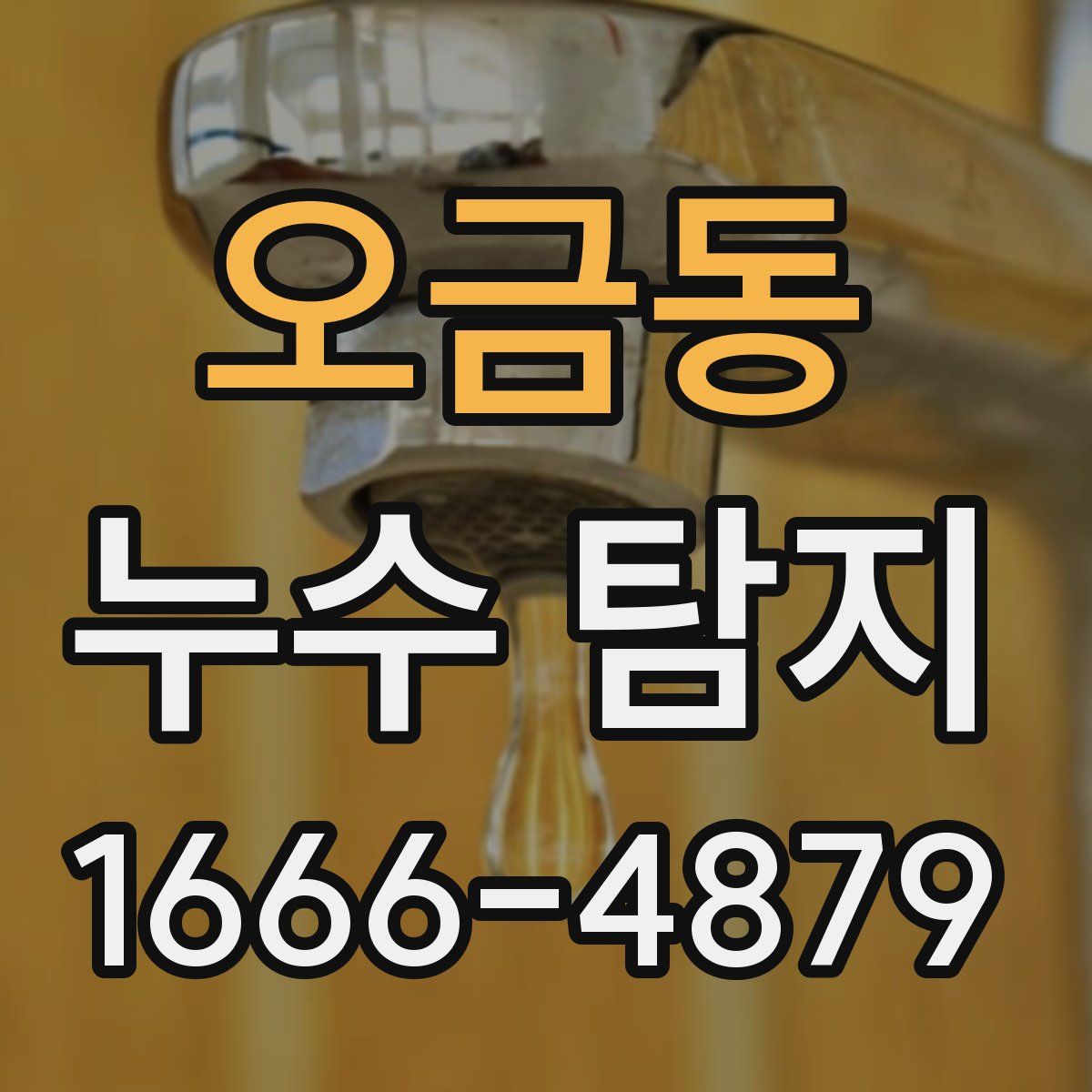 오금동 누수 탐지