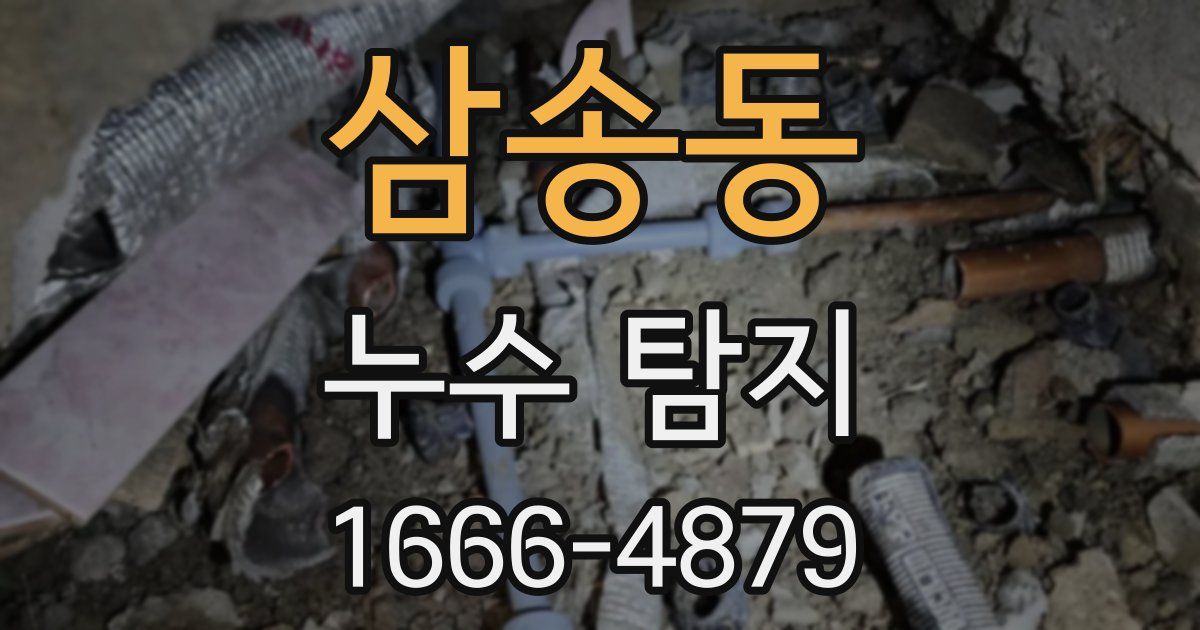삼송동 누수 탐지