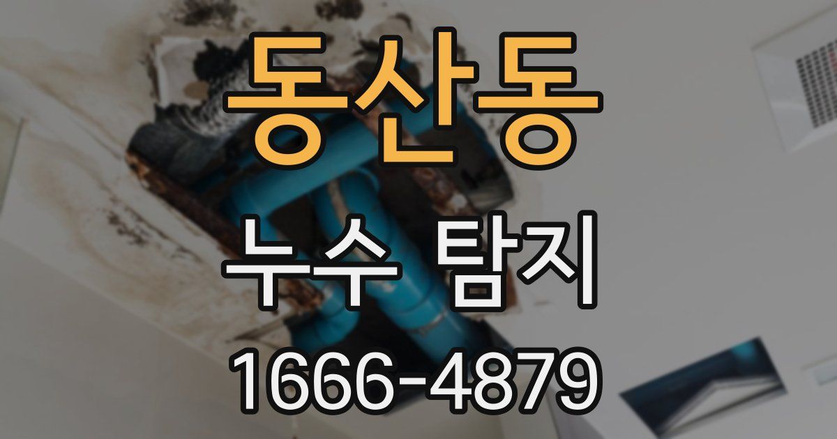 동산동 누수 탐지
