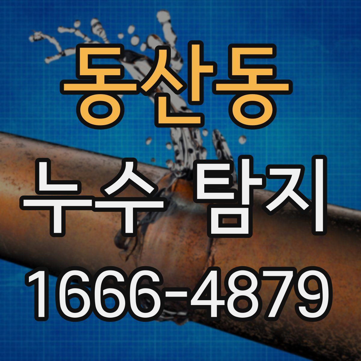 동산동 누수 탐지