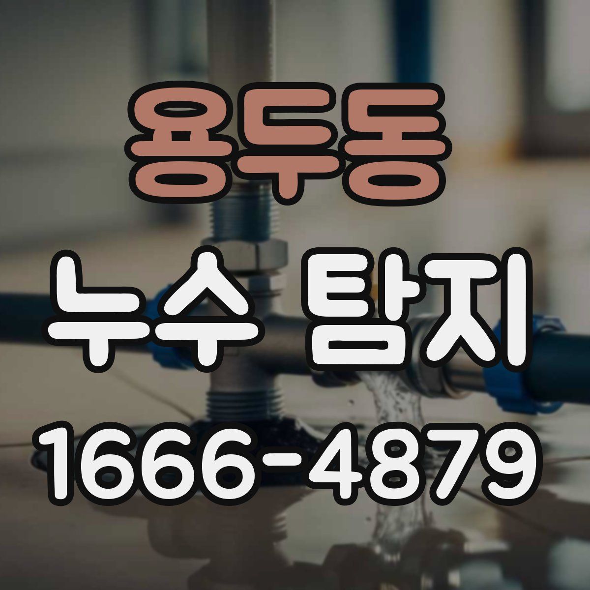 용두동 누수 탐지