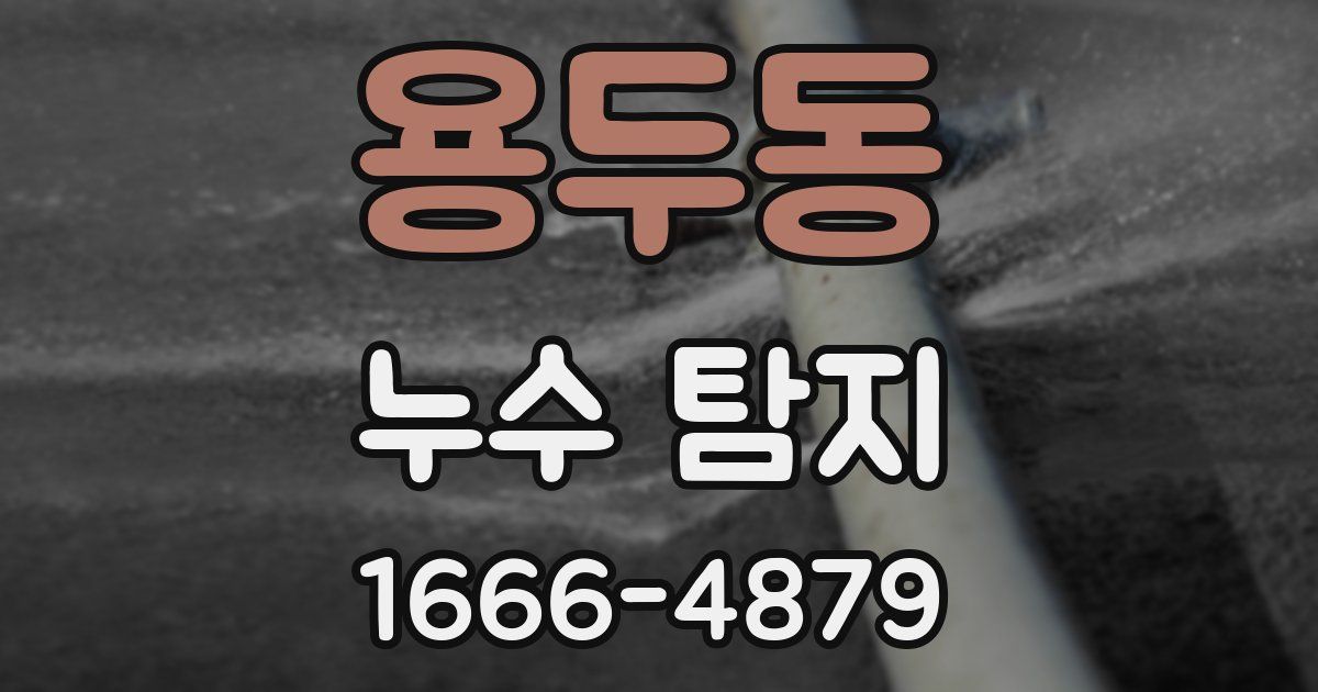 용두동 누수 탐지