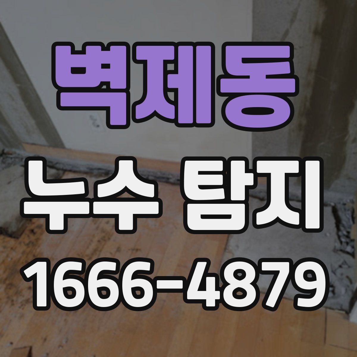 벽제동 누수 탐지