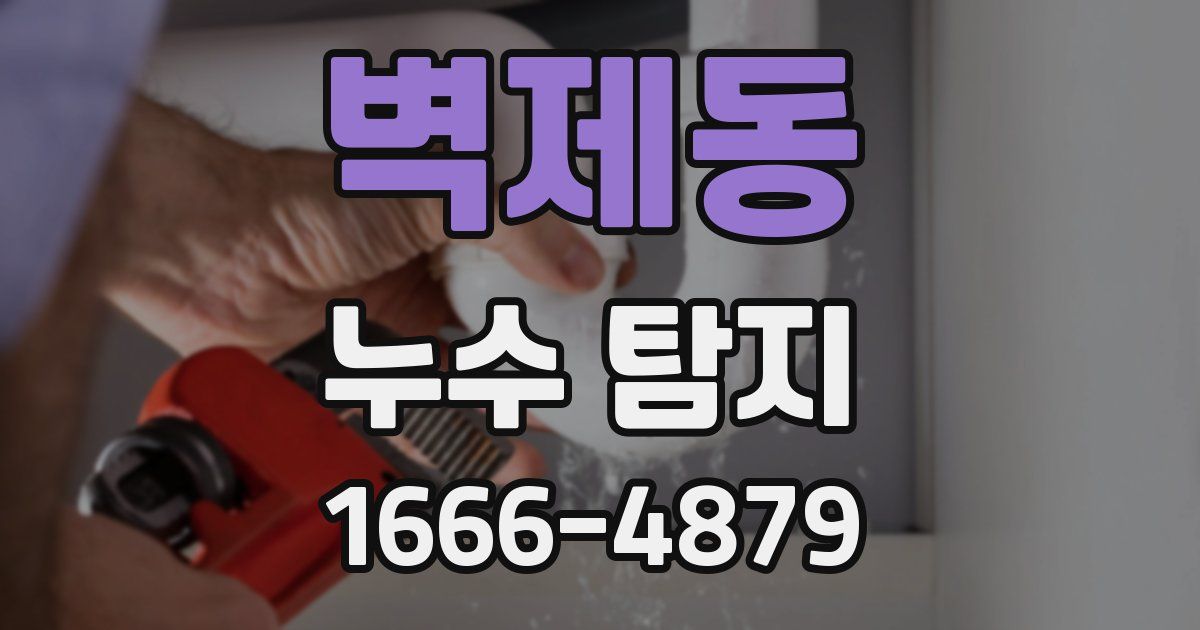 벽제동 누수 탐지